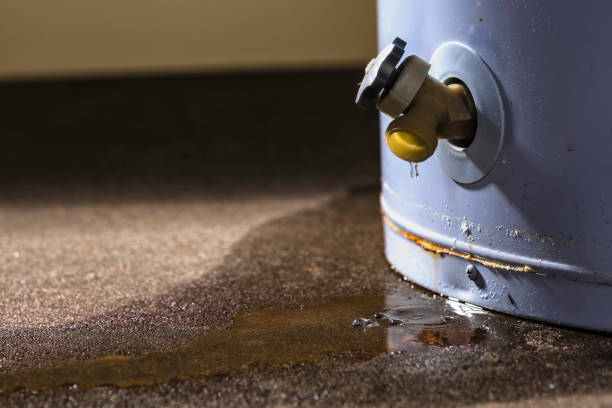 Best Fire Damage Restoration  in Masontown, PA