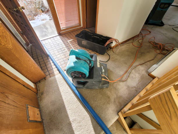 Best Professional water damage repair  in Masontown, PA