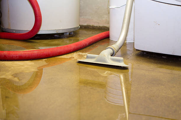 Best Fire Damage Restoration  in Masontown, PA