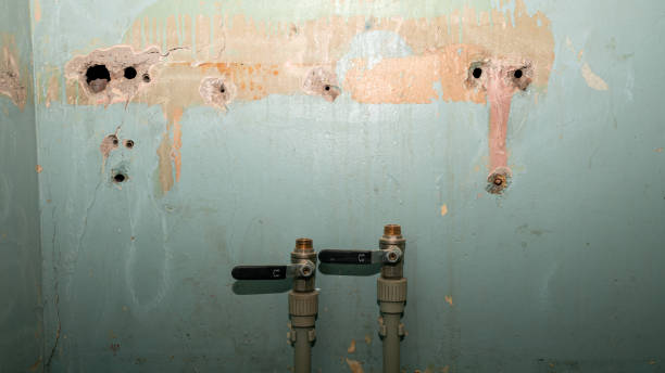 Best Local water damage restoration  in Masontown, PA