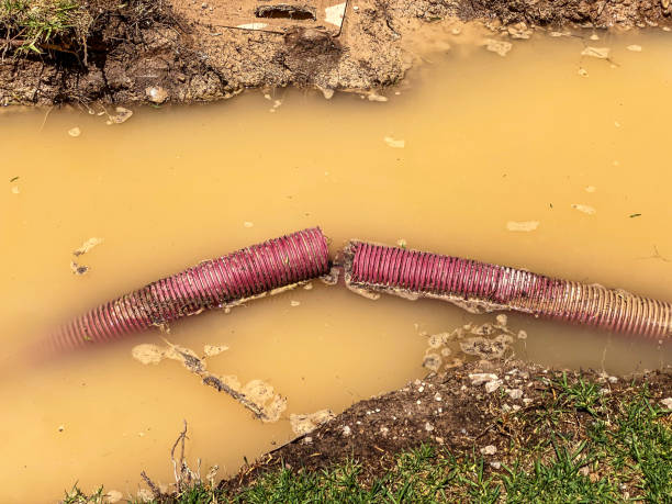 Best Basement water damage restoration  in Masontown, PA