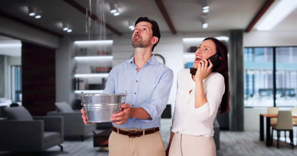 Best Mold removal after water damage  in Masontown, PA